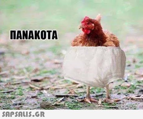 ΠΑΝΑΚΟΤΑ 