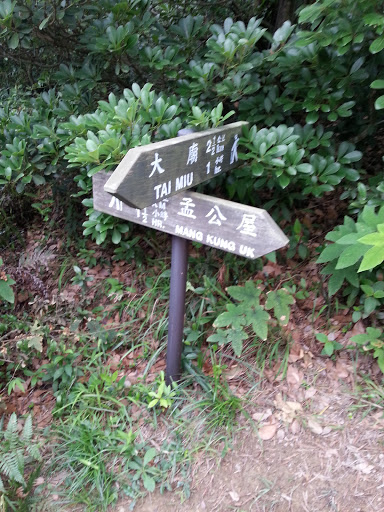 行山路徑指示牌