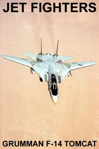 Grumman F-14 Tomcat PRO