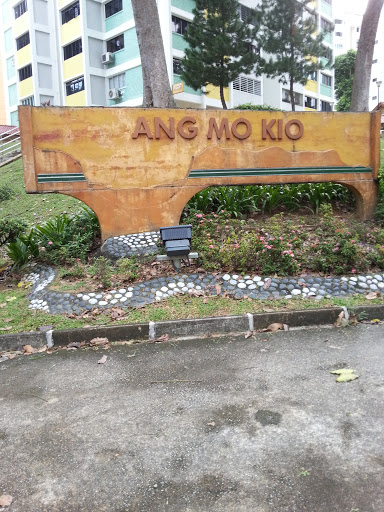 Ang Mo Kio Unwrapped