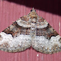Toothed Brown Carpet