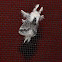 Unknown spotting