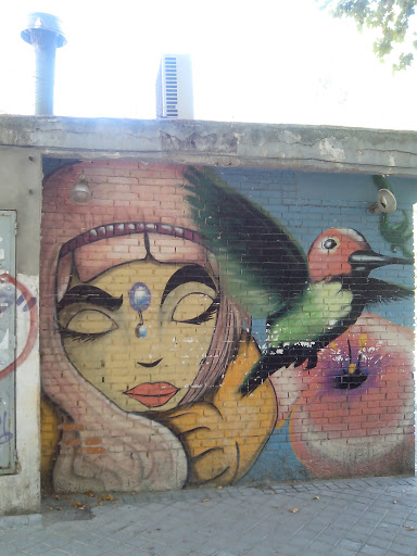 Arte En La Calle 678