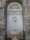 Fontana Leone