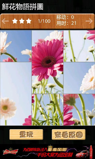 Flowers jigsaw puzzle