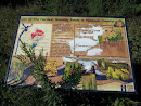 Brooklyn Center Nature Pond Sign