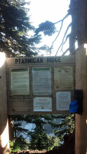 Ptarmigan Ridge Trail Cutoff