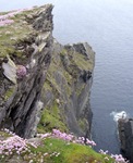 Long way down