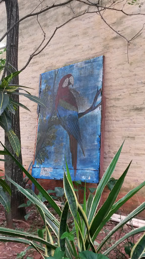 Pintura Papagayo