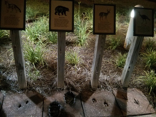 Florida Wildlife Track 2