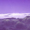 Beachscape.jpg