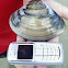 Pismo clam