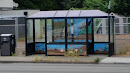 Painted Bus Stop