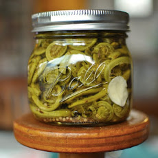 Pickled Fiddlehead Ferns