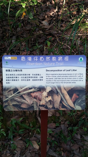 Aberdeen Nature Trail Decomposition Of Leaf Litter