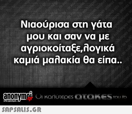 Νιαούρισα στη γάτα μου και σαν να με αγριοκοίταξε,λογικά καμιά μαλακία θα είπα.. .gr