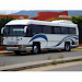 Autobuses De Turismo Halcon Original  