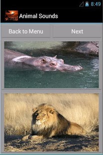 How to install Animal Sounds 1.5 unlimited apk for laptop