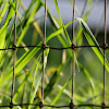 IMG_2876.JPG