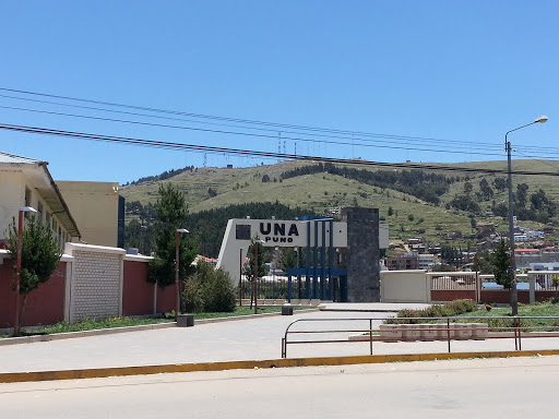 Universidad Nacional Andina 