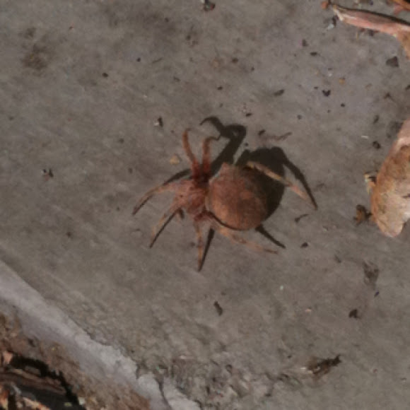Spotting Image 1