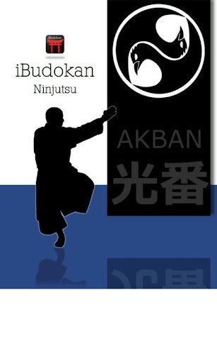 Ninjutsu Kicking