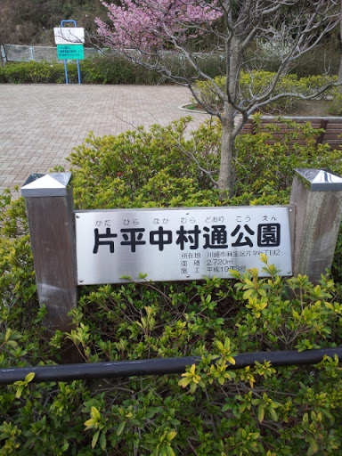 片平中村通公園
