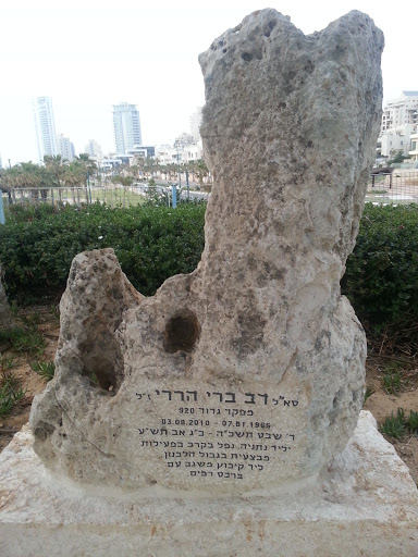 Dov Bery Harary Memorial