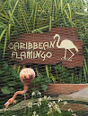 Flamingo Trail