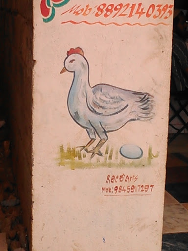 Chicken And Egg Wall Art