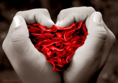 [amor1[13].jpg]