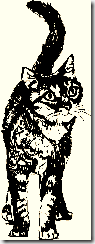 CAT_1