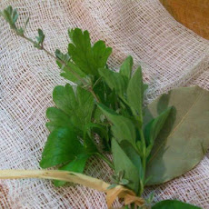 Fresh Bouquet Garni by Toula Patsalis