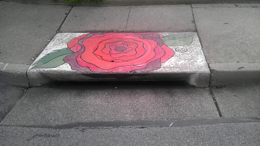 The Rose Drain Art  at Rose and Vine