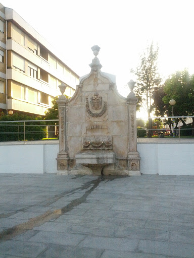 Fonte da Praça Do Município 