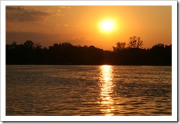 IMG_7781