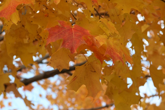 [2008.10.25_8113[3].jpg]