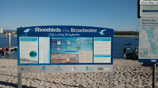 Broadwater Birds