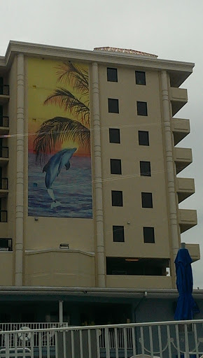 Sunset Dolphin Mural