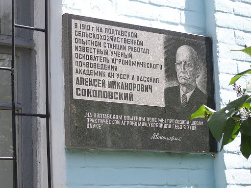 Sokolovsky Board