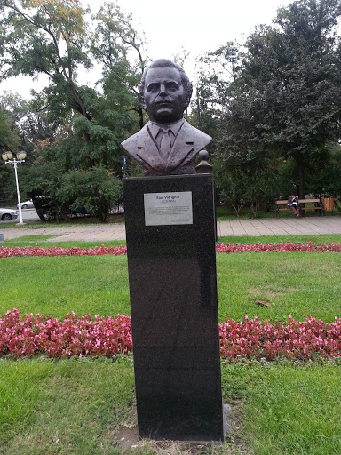 Bust Stan Vidrighin 1876-1956