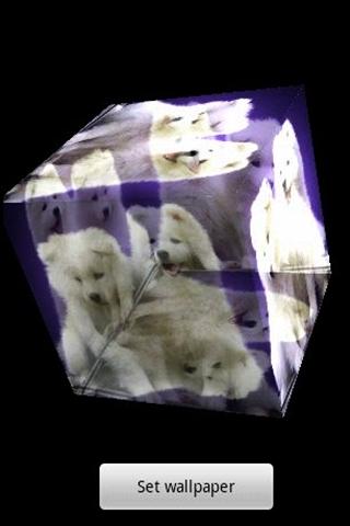 3D cute dog A8