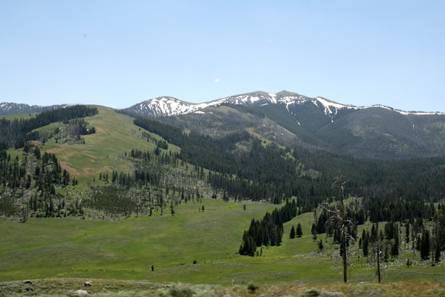 [IMG_45424.jpg]