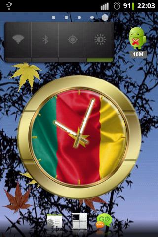 Cameroon flag clocks