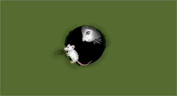 Curiosity (2)