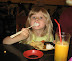 Catherine eating with chopsticks at lunch at a Japanese restaurant in Grand Gateway.