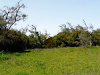 Vendo Chacra Laguna El Rosario Pinamar