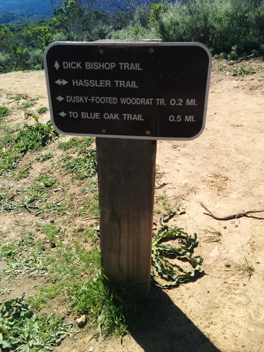 To Dick Bishop Trail