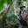 <p>
	jamie shooting on a trail at Calanoa Amazonas</p>
