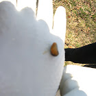 Slug